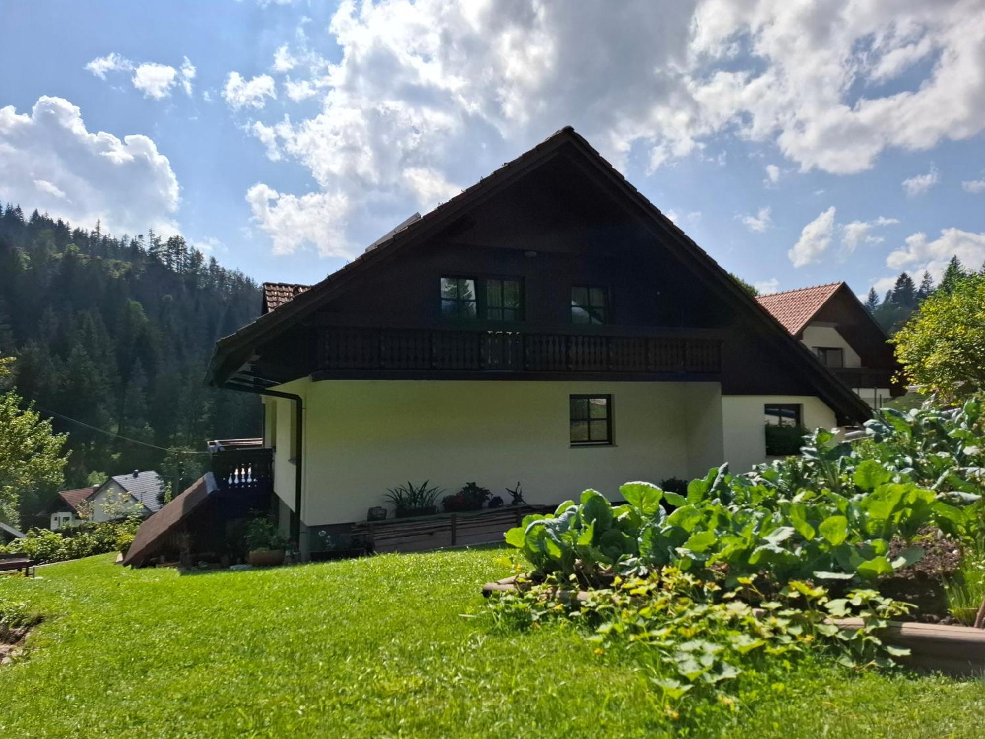 Apartma Cvrsta Trojka Jesenice Dış mekan fotoğraf